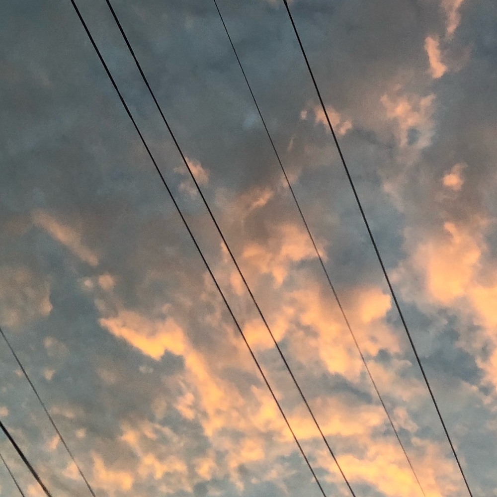 Meet your Posher, Lizzie